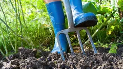 Trädgården i mars: 4 mycket viktiga saker du måste hinna göra innan månaden är slut