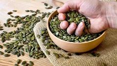 Vad händer om du äter pumpafrön varje dag – effekten överraskar